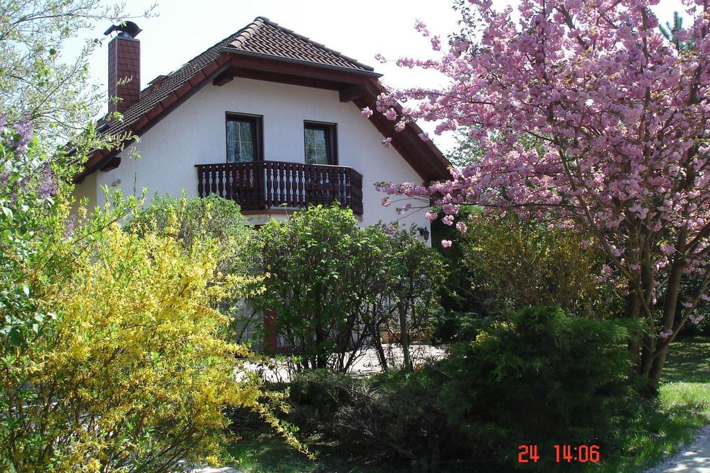 Ferienhaus "Werrablick-Frankenroda" Exterior foto